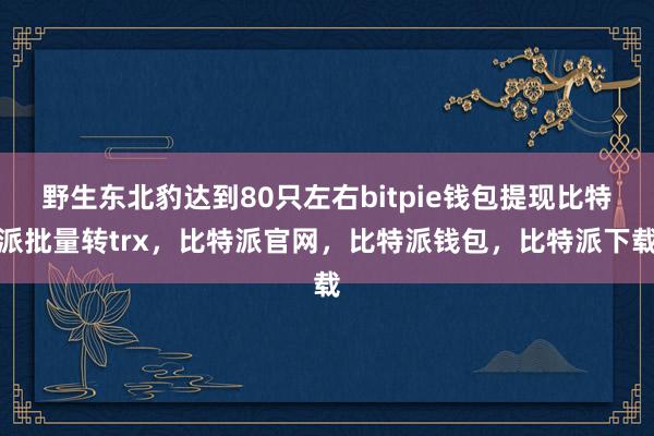 野生东北豹达到80只左右bitpie钱包提现比特派批量转trx，比特派官网，比特派钱包，比特派下载