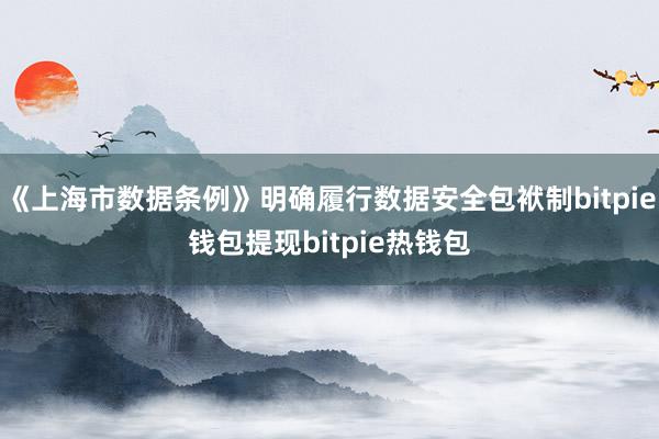 《上海市数据条例》明确履行数据安全包袱制bitpie钱包提现bitpie热钱包