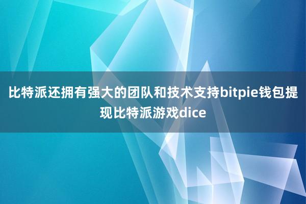 比特派还拥有强大的团队和技术支持bitpie钱包提现比特派游戏dice