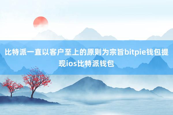 比特派一直以客户至上的原则为宗旨bitpie钱包提现ios比特派钱包