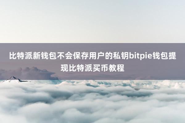 比特派新钱包不会保存用户的私钥bitpie钱包提现比特派买币教程