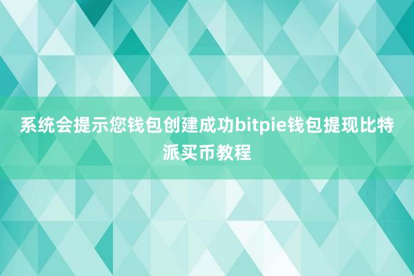 系统会提示您钱包创建成功bitpie钱包提现比特派买币教程