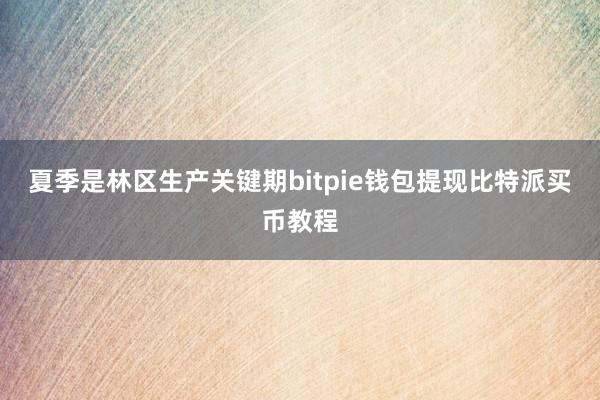 夏季是林区生产关键期bitpie钱包提现比特派买币教程