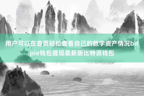 用户可以在首页轻松查看自己的数字资产情况bitpie钱包提现最新版比特派钱包