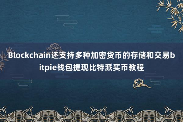 Blockchain还支持多种加密货币的存储和交易bitpie钱包提现比特派买币教程