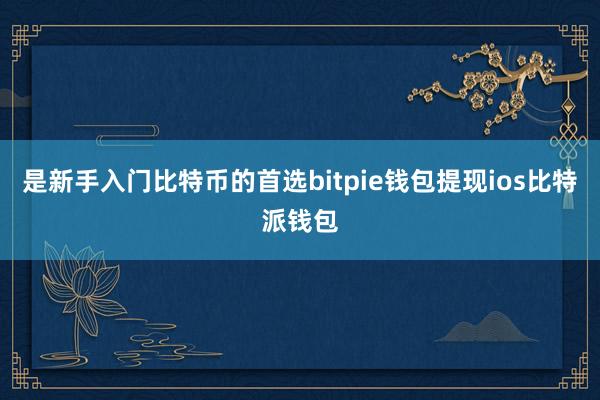 是新手入门比特币的首选bitpie钱包提现ios比特派钱包