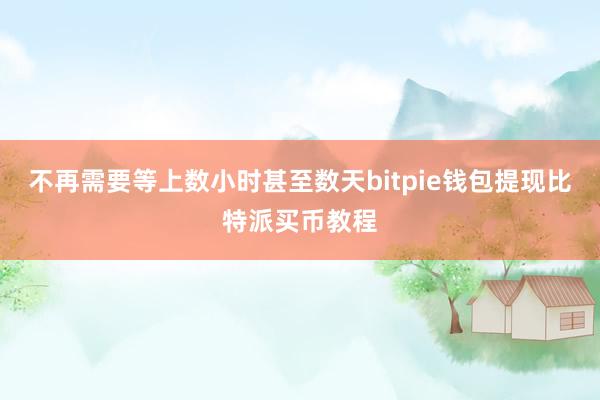 不再需要等上数小时甚至数天bitpie钱包提现比特派买币教程