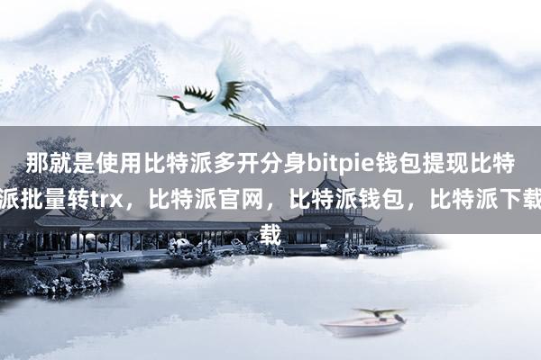 那就是使用比特派多开分身bitpie钱包提现比特派批量转trx，比特派官网，比特派钱包，比特派下载