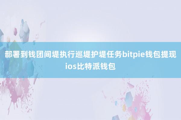 部署到钱团间堤执行巡堤护堤任务bitpie钱包提现ios比特派钱包