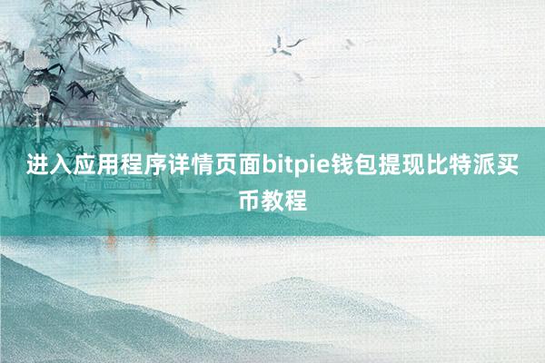 进入应用程序详情页面bitpie钱包提现比特派买币教程