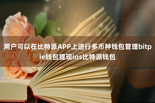 用户可以在比特派APP上进行多币种钱包管理bitpie钱包提现ios比特派钱包