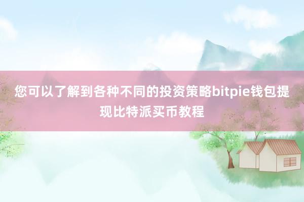 您可以了解到各种不同的投资策略bitpie钱包提现比特派买币教程