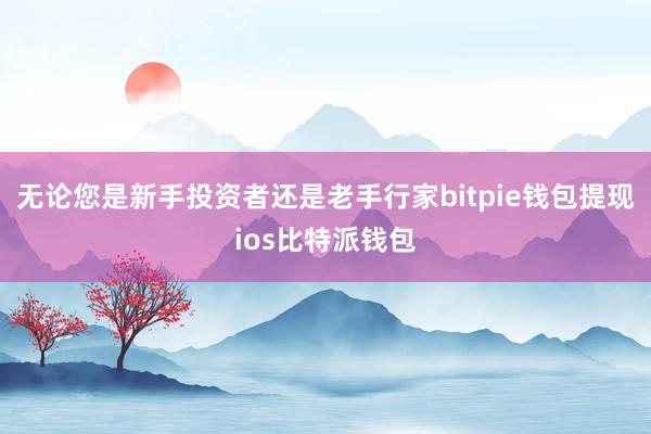 无论您是新手投资者还是老手行家bitpie钱包提现ios比特派钱包