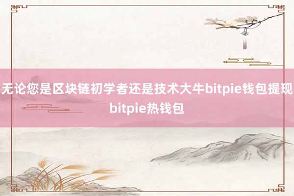 无论您是区块链初学者还是技术大牛bitpie钱包提现bitpie热钱包