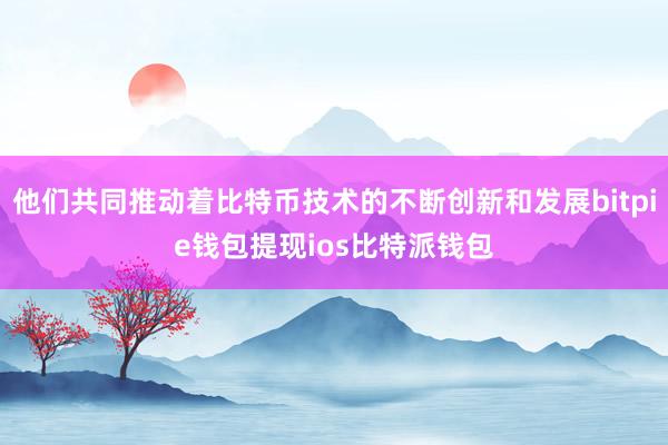 他们共同推动着比特币技术的不断创新和发展bitpie钱包提现ios比特派钱包