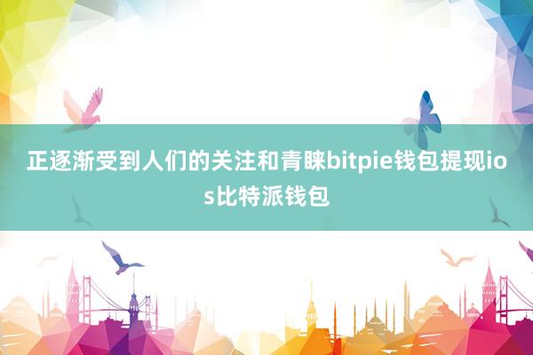 正逐渐受到人们的关注和青睐bitpie钱包提现ios比特派钱包