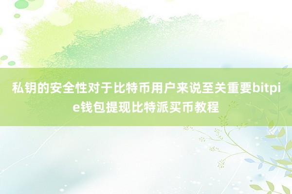 私钥的安全性对于比特币用户来说至关重要bitpie钱包提现比特派买币教程