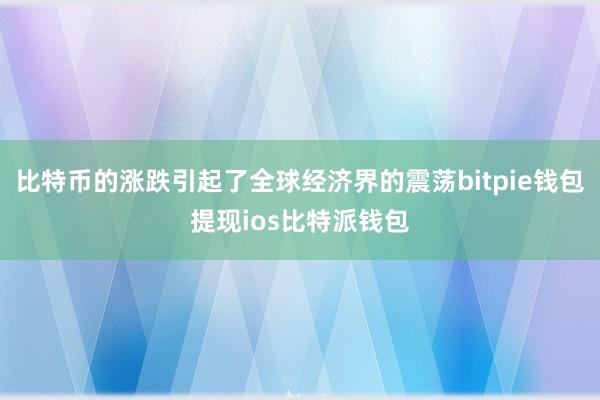 比特币的涨跌引起了全球经济界的震荡bitpie钱包提现ios比特派钱包