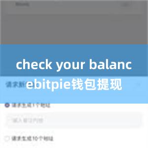 check your balancebitpie钱包提现