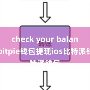 check your balancebitpie钱包提现ios比特派钱包