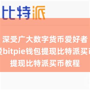 深受广大数字货币爱好者的喜爱bitpie钱包提现比特派买币教程