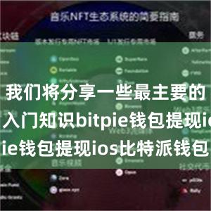 我们将分享一些最主要的比特币入门知识bitpie钱包提现ios比特派钱包