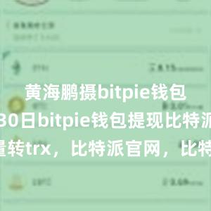 黄海鹏摄bitpie钱包地址7月30日bitpie钱包提现比特派批量转trx，比特派官网，比特派钱包，比特派下载