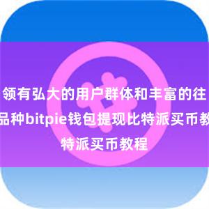 领有弘大的用户群体和丰富的往还品种bitpie钱包提现比特派买币教程