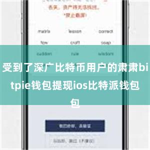 受到了深广比特币用户的肃肃bitpie钱包提现ios比特派钱包